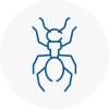 Ant Removals In Thetford