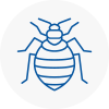 Bed Bug Extermination In Thetford