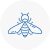 Bee Nest Removal Thetford
