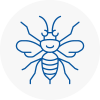 Thetford Hornet Nest Removals