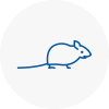 Mice Exterminators In Thetford