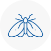 Moth Control Specialists In Thetford
