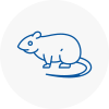 Rat Control Thetford