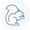 Thetford Rodent Removals