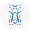 Thetford Wasp Nest Removal